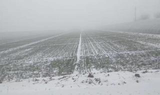 10月下雪打雷民间有什么说法