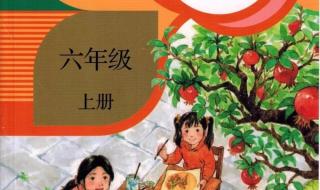 六年级上册语文第三单元作文450字 六年级上册同步作文