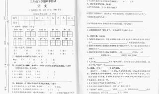 九年级期中考试各科满分是多少 九年级语文期中试卷