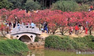 佛山南海区经济、消费水平如何谁知道 广东省佛山市南海区