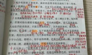 六年级上册语文园地口语交际演讲稿怎么写 六年级上册语文第一课